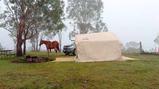 Solo Camping In Rain & Fog | ASMR Nature Sounds For Sleep | Mountain Wild Camp