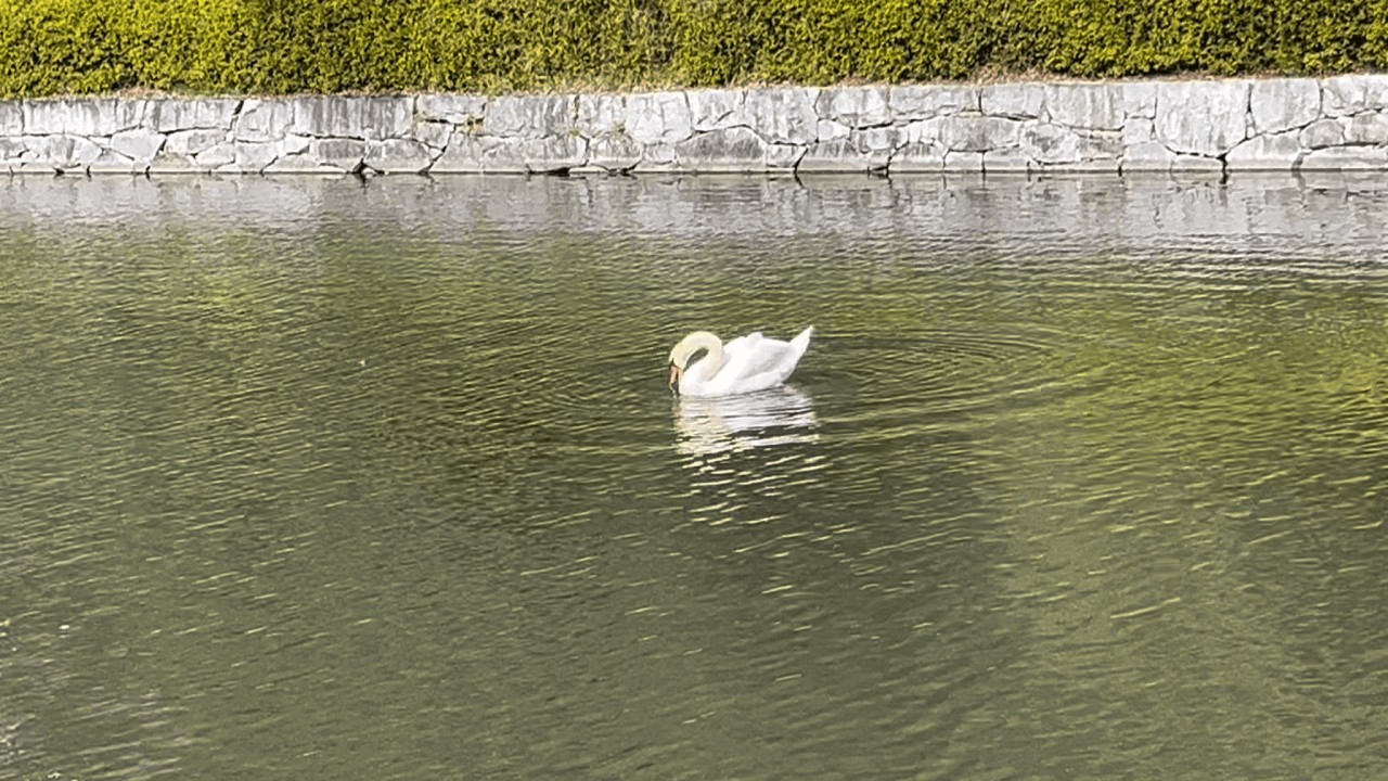 帰省するアスぺ（6/6）