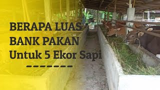 Luas Bank pakan untuk 5 ekor sapi