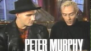 Peter Murphy-  MTV Deep Letters