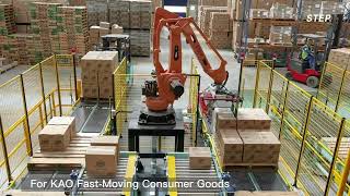 Palletizing Robot for boxes