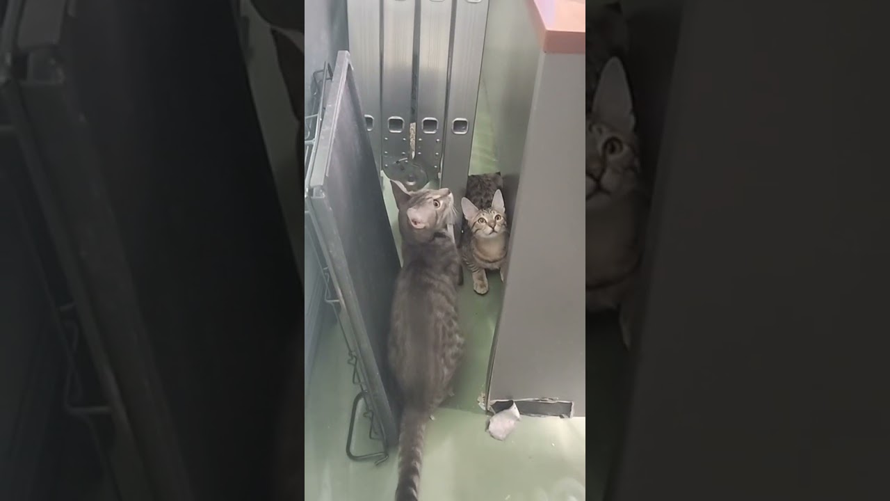 Night Night from the Kiddos! January 13, 2026