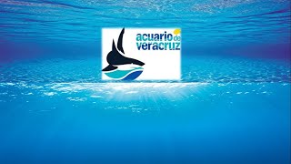 El acuario de Veracruz ‐ Valerritus