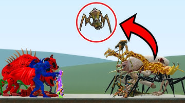 All New Amazing Zoochosis Mutant Animal Vs All Poppy Playtime Smiling Critters In Garry