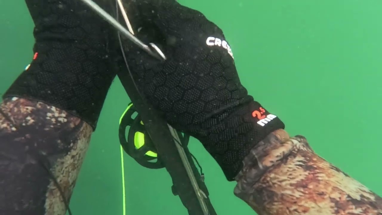 Primeiro dia pós defeso do polvo 2025