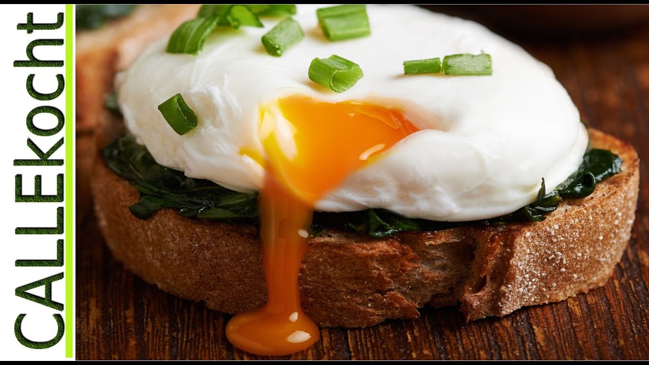 Helm Egoismus spülen eier benedict im glas Brückenpfeiler mikroskopisch ...