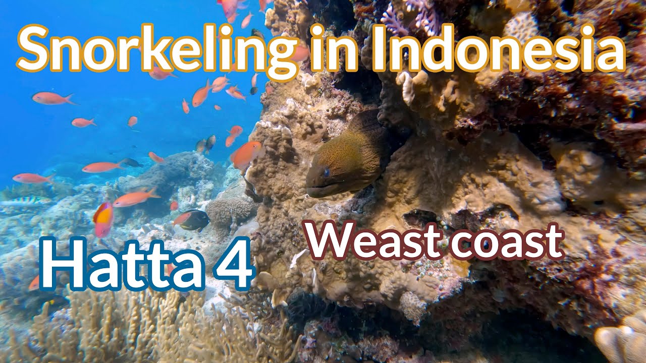 Hatta, Banda Ep.4 - 4K Snorkeling in Indonesia