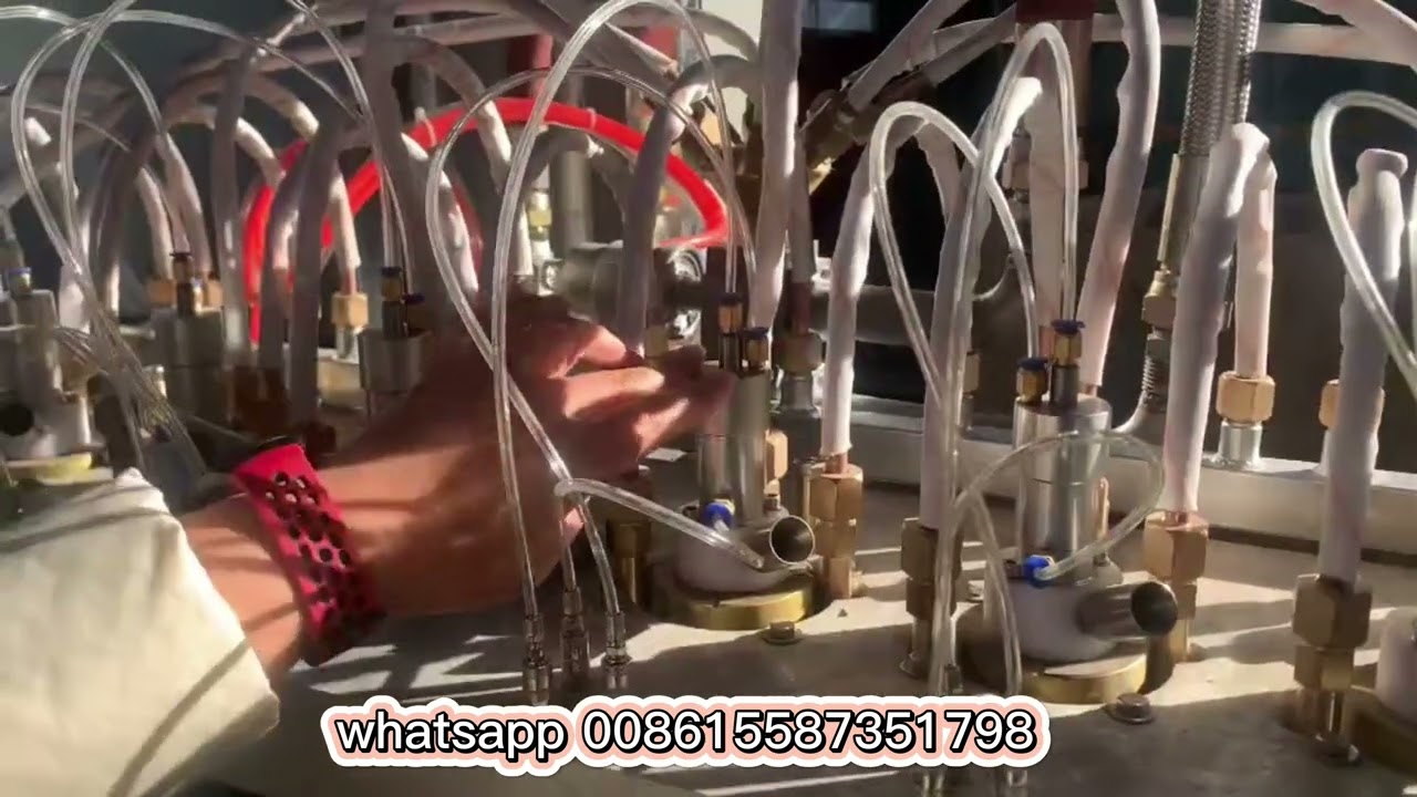 eps bowl machine，eps coffee cup production line，eps cup forming machine，eps cup manufacturer