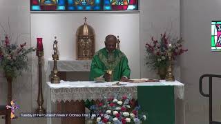 Tuesday of the Fourteenth Week in Ordinary Time | July 7, 2026