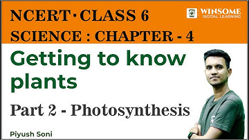 Class 6 Science Chapter 4 | Getting To Know Plants | Part 2 - Photosynthesis | Piyush Soni