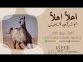 شيلة اهلا هلا آداء صوت الفخامه متعب الخيل جديد2023 حصريا 