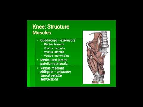 Lec 2 Knee