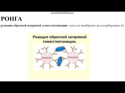 Иммунодиагностические реакции (часть 1). Микробиология