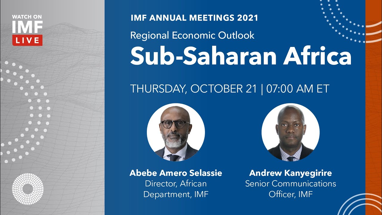 Still from Regional Economic Outlook: Sub-Saharan Africa