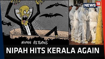 Nipah Hits Kerala Again | All You Need to Know About the Virus