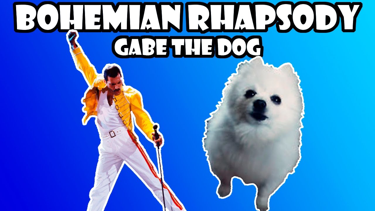 Gabe the dog Bohemian Rhapsody YouTube
