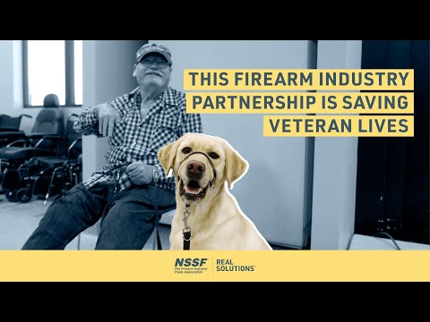 Retrieving Freedom: How Service Dogs Help Veterans with PTSD | Partners for REAL SOLUTIONS®