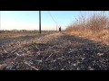 hanaとのふれあい麻機散歩