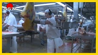 Ext.005 Scott Technology Limited - Beef Cutting And Boning Plant As71Channel