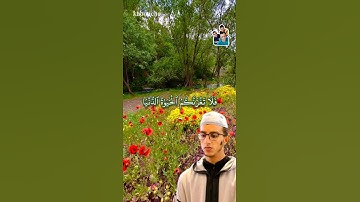 الآية(5) من سورة فاطر , بصوت القارئ جعفر السعدي.