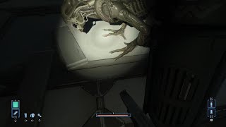 Alien: Rogue Incursion Evolved Edition | PART 5 | ALL AROUND US
