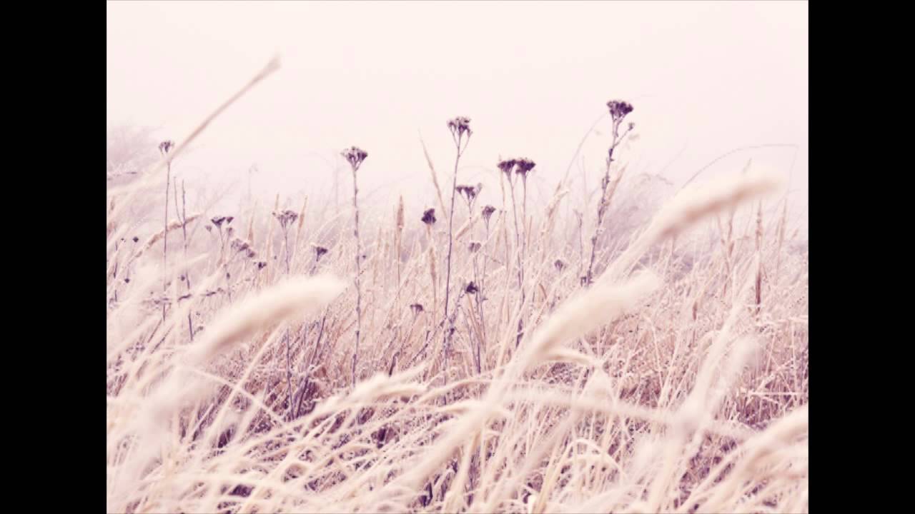 Mark Van Hoen - Real Love