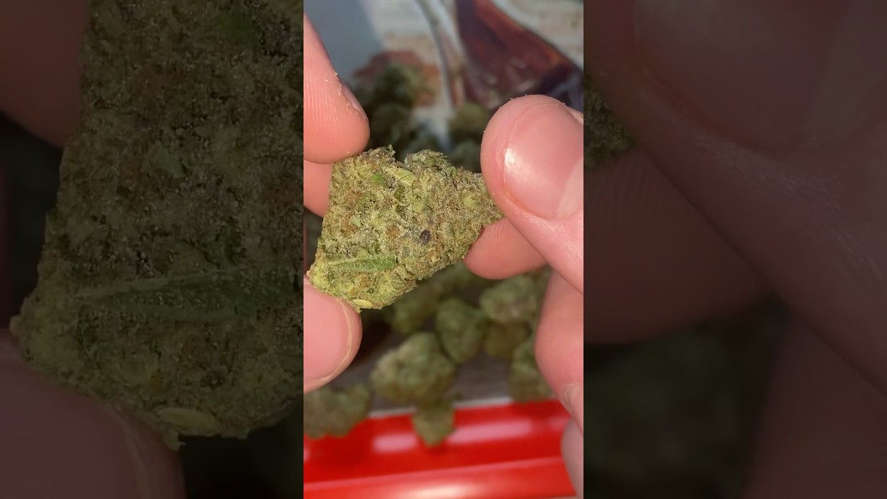 Lit Farms Apple Fritter Essentials