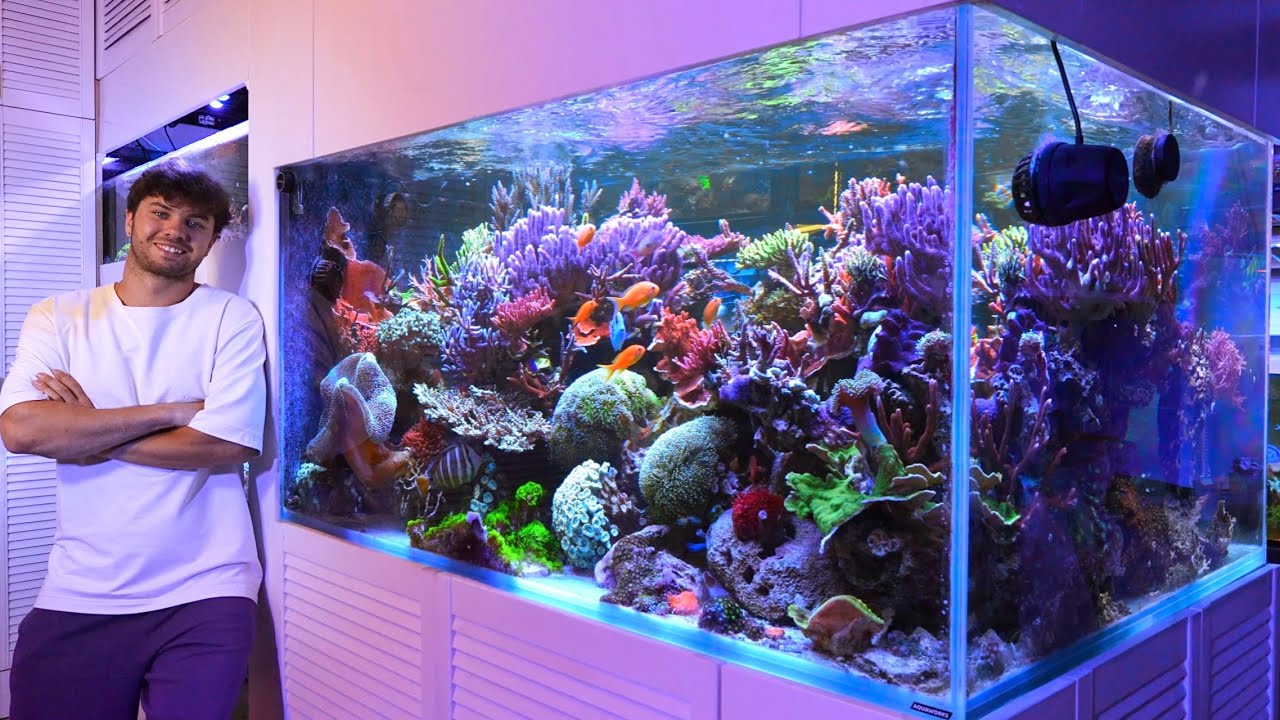 Я СДЕЛАЛ САМЫЙ ДОРОГОЙ АКВАРИУМ 