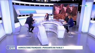 Agriculture française : puissante ou faible ? #cdanslair 24.02.2023