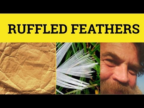 Vidéo: Que signifie ébouriffer les plumes de quelqu'un ?