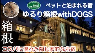 【 ペットと泊まれる宿 】トイプードル と  ゆるり箱根withDOGS に泊まってみた  #箱根旅行  #箱根強羅公園 #大涌谷 #箱根スカイライン #MFゴースト #湾岸ミッドナイト