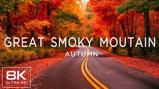 Great Smoky Mountains Autumn 8K 🍁 Enchanting Forest Roads, Fiery Fall Colors & Peaceful Nature