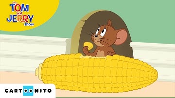 TOM VE JERRY | Akşam Yemeği | Cartoonito Türkiye