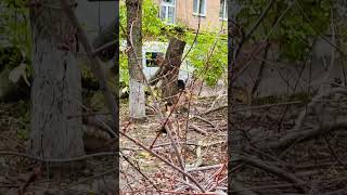 Чіткий розрахунок, точність виконання / Clear calculation, accuracy of execution