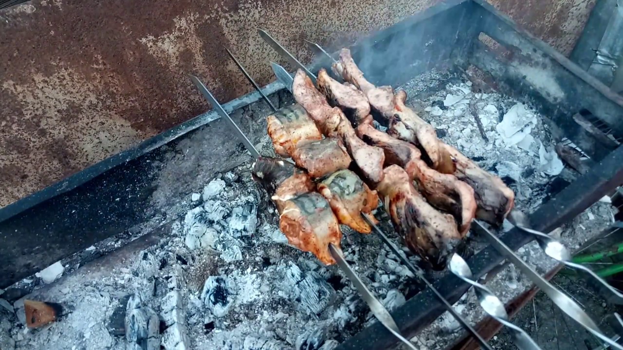 как приготовить шашлык из карпа как приготовить шашлык из карпа