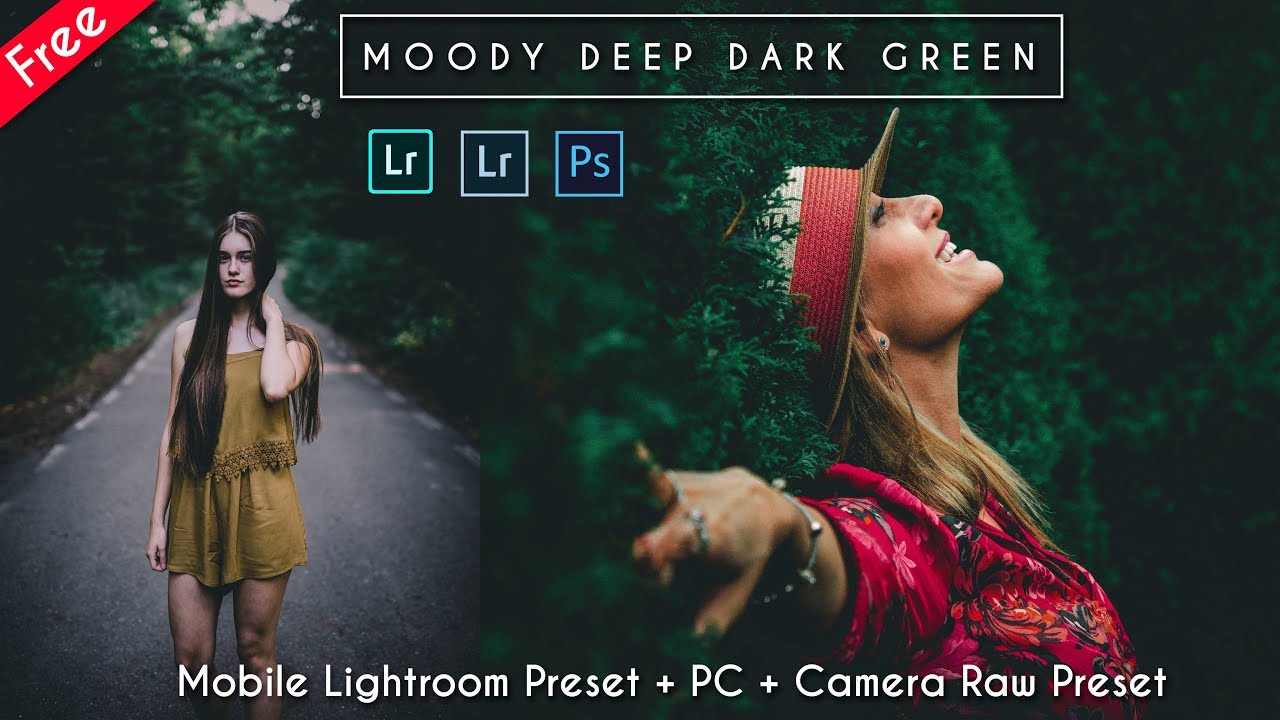 Download Moody Deep Green Mobile Lightroom Preset + PC + Camera Raw Preset