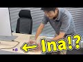 NePoLaBo spot there's 1 Hololive member's merch in YAGOO's room【Hololive/Eng sub】