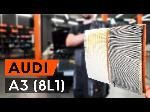 Wie AUDI A3 1 (8L1) Luftfilter wechseln [TUTORIAL AUTODOC]