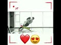 اغنيه ياليلي ويا ليلي الوصف مهم اتمنى لاتنسو من طرفي احبكم 