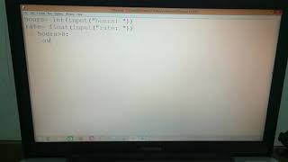 Famous Python- Using If (Overtime Payment) Net Worth