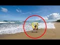 5 PERSONAJES DE BOB ESPONJA CAPTADOS EN CÁMARA Y VISTOS EN LA VIDA REAL!