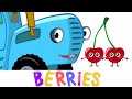 Berries song  the blue tractor  kids songs  cartoons