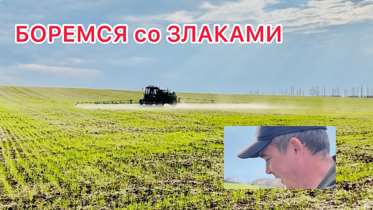 NO-TILL. Вносим удобрение. Боремся со злаками. Планы на будущее 22 апреля 2021 г.