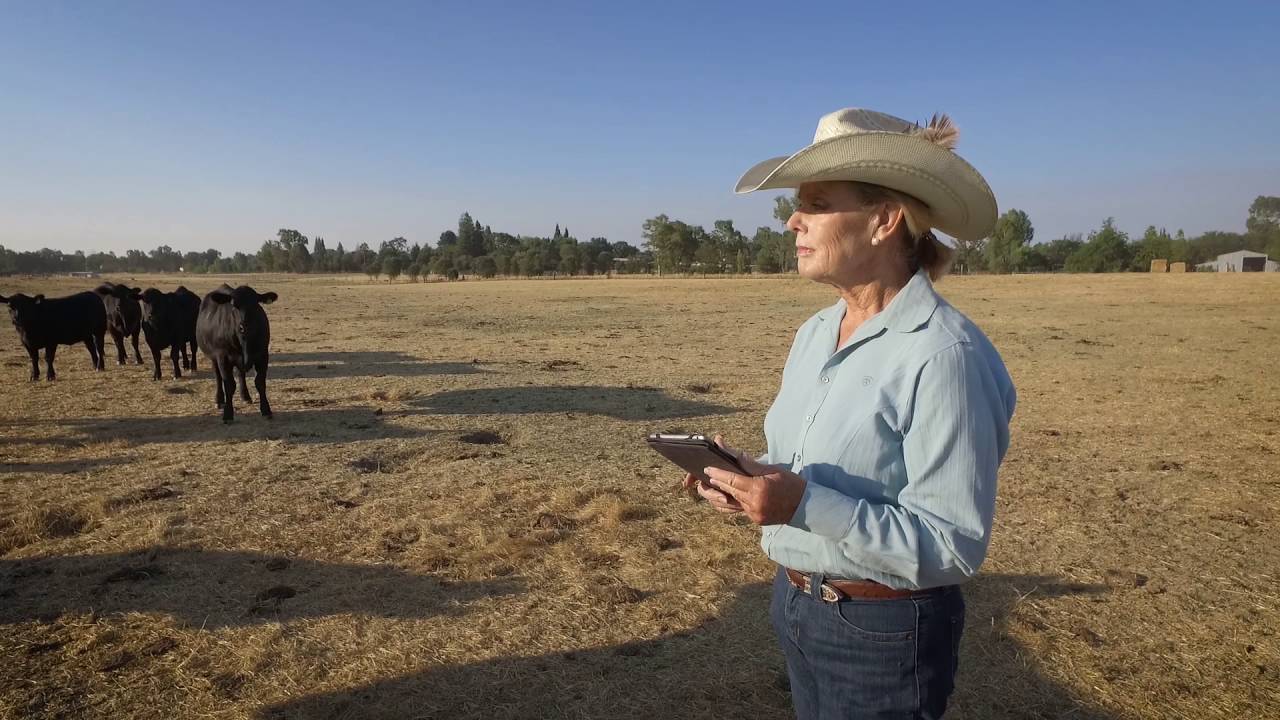 The Nelson Family, Wilton, California