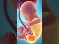Drinking Coca-Cola During Pregnancy: What Really Happens?#PregnancyTips #HealthyPregnancy #Caffeine