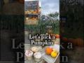 Autumn Pumpkin Picking at a local farm #shopsmall #shoplocal #slowlife #memories #memoriesareforever