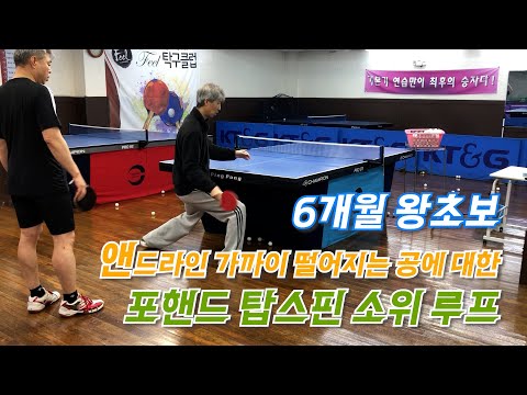 6개월 왕초보 앤드라인 가까이 떨어지는 공에 대한 포핸드 탑스핀 소위 루프