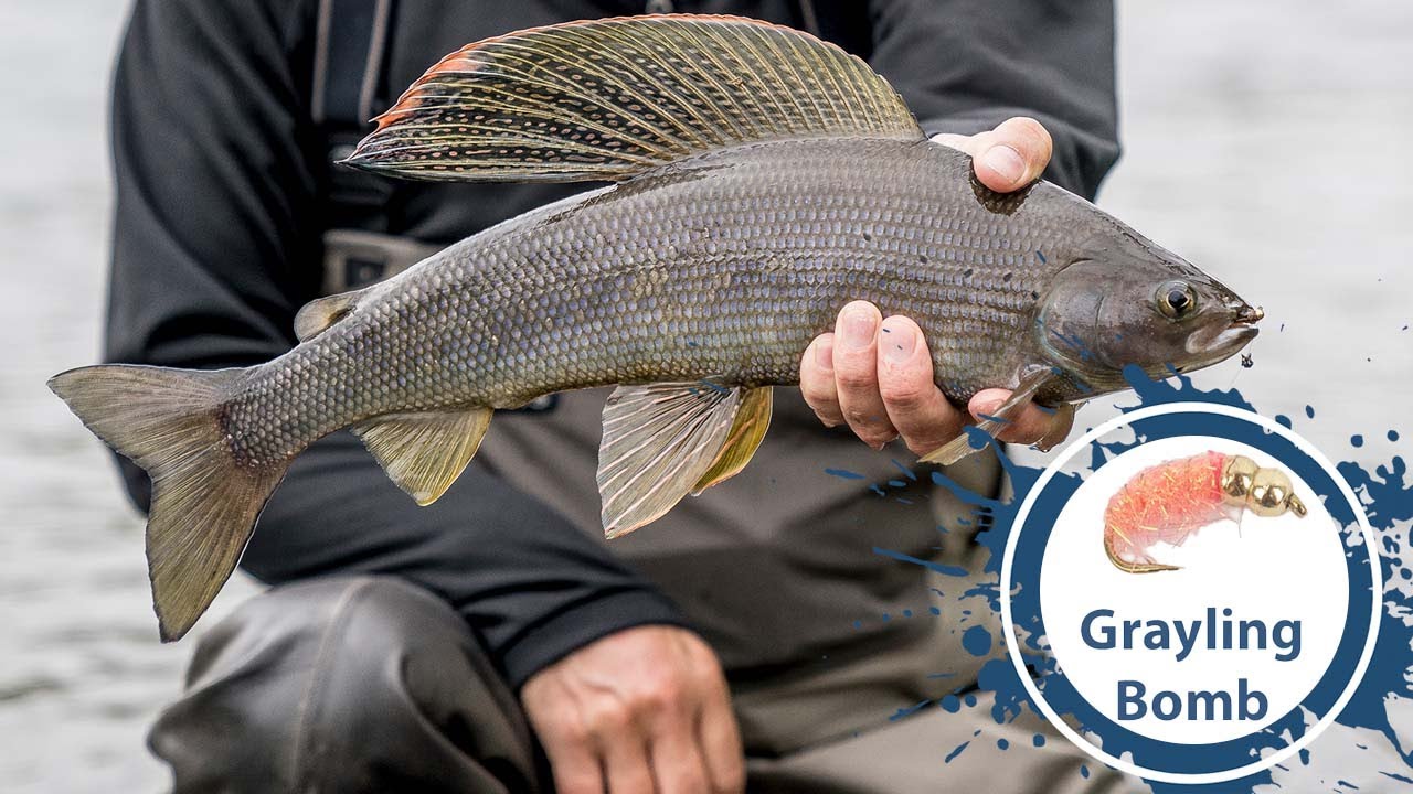 Fly Tying a Grayling Bomb - Fly Supply TV