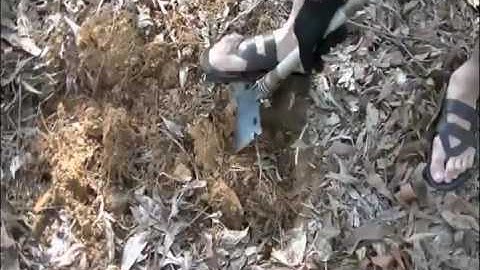 xẻng đa năng quân đội