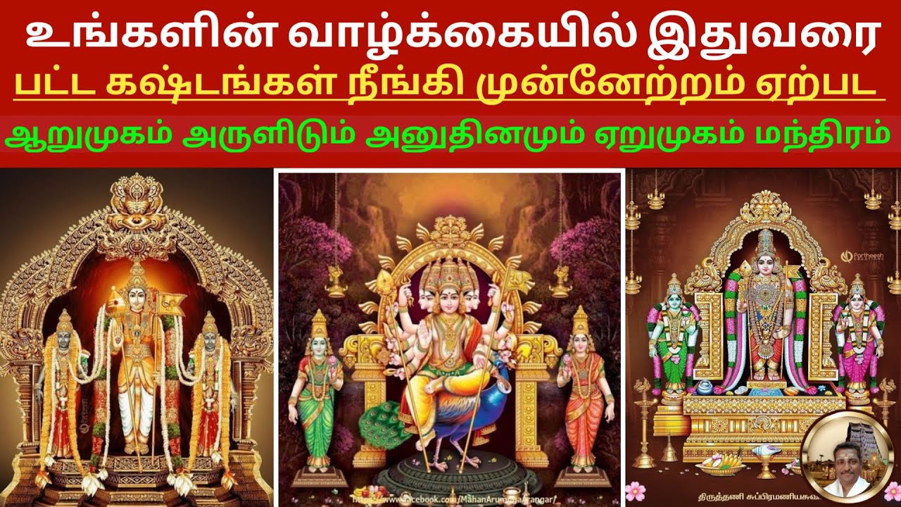 Remove All Life Struggles & Achieve Success with Arumugam Arulidam ...